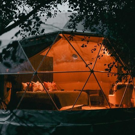 Отель Teapot Lane Glamping - Adults Only Слайго Экстерьер фото